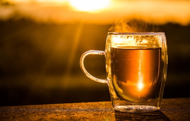 tea cup in sunset